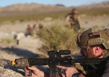 Marines Conduct NEO Drills During WTI 2-19