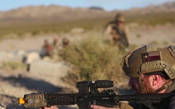 Marines Conduct NEO Drills During WTI 2-19