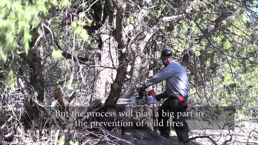 DVIDS - Video - Kirtland AFB Wildfire Prevention