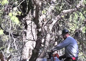 Kirtland AFB Wildfire Prevention