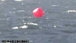LCS Live Fire Exercise