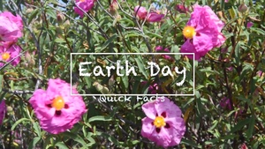 Earth Day 2019