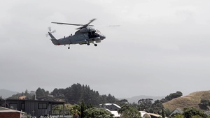 Exercise Fulcrum 2017 Brings Together EOD
