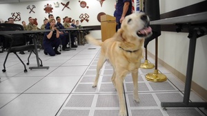 Coast Guard working dog retires after eight years of service during ceremony in Chesapeake, Va.