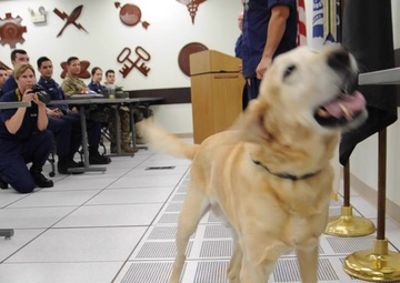 Coast Guard working dog retires after eight years of service during ceremony in Chesapeake, Va.