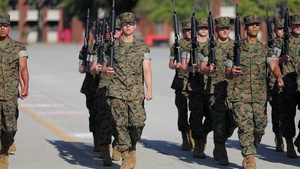 Mike Company Final Drill