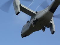 What It Takes To Be Recon (AFN)