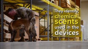 K-9 Homemade Explosives (HME) Training