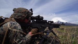 Fuji Viper Lima Company Squad Attacks