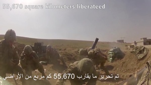 Iraq-Coalition Partnership