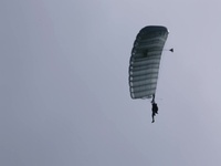 Recon Screener