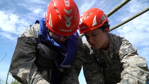 Search and Extraction Training