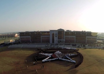 2ID Living Insignia Timelapse