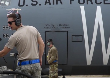 Stole Cerberus VI MX