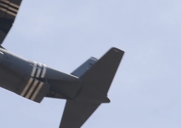 Stolen Cerberus VI - 20190515 - B-Roll