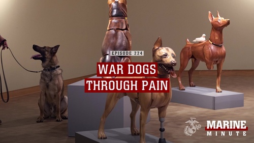 Marine Minute: War Dogs Art Exhibit