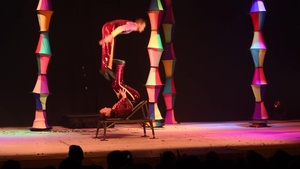 Cirque Dreams performs for MCAS Iwakuni service members, families (Package/Pkg)
