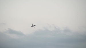 MiG-17 performs during the Twilight Show at Barksdale Air Force Base's Defenders of Liberty Air & Space Show
