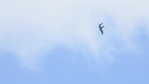 494th Fighter Squadron Arrival to Checkered Flag BROLL