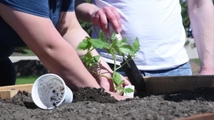True Facts About Gardening