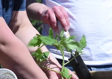 True Facts About Gardening