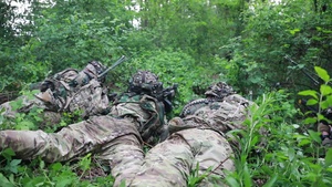 Exercise Immediate Response