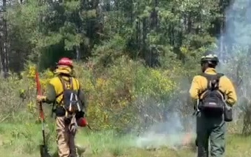 Sorry Smokey - prescribed burns can prevent forest fires, too