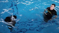 Surviving the Swim