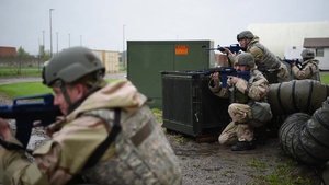 Exercise Summer Viking 19-01