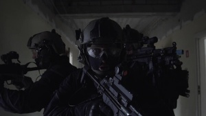 How Does NATO Counter Hybrid Threats (IT Version)