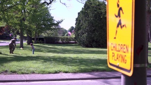 Slow Down!