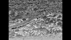 134 Central Americans Enter Near Sasabe, Ariz.