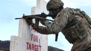 2019 Army Pacific Best Warrior Competition M4 Qualifications