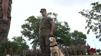 Service Dog Sandy Retires After Nine Years of Service