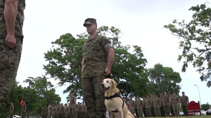 Service Dog Sandy Retires After Nine Years of Service