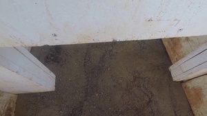 2019 Army Pacific Best Warrior Competition M4 Qualification