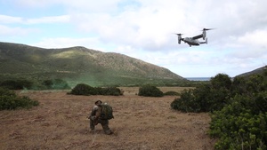 U.S. Marines, Italian Armed Forces conclude Exercise Joint Stars 2019
