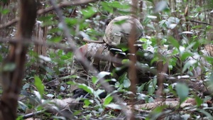 2019 Army Pacific Best Warrior Competition STX Lanes Day 3