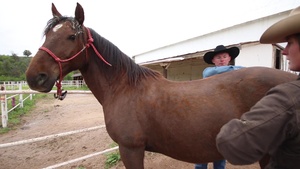 Fort Carson Mounted Color Guard Recruitment Video