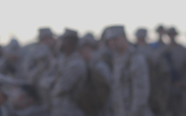 B-Roll: Integrated Training Exercise 4-19 Food Services