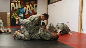 Combatives Training
