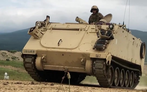 Teamwork Makes the Dream Work