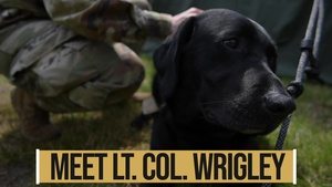 Dog in Arms: Lt. Col. Wrigley Visits STRIKE BACK 19