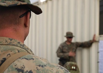 Southern Jackaroo B-Roll