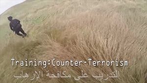 Iraq-Coalition Partnership