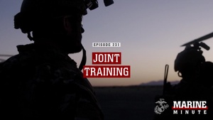 Marine Minute The Quiet Professionals
