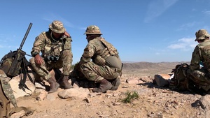 Idaho and Brazilian TACPs Train at NTC
