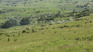 U.S. Army and Romanian Forces on Media Day