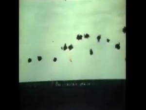Battle of Midway