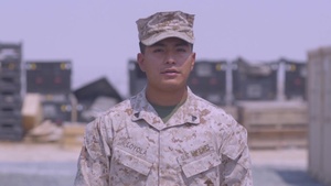 Tampa Bay Rays Shoutout